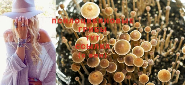 метадон Покров