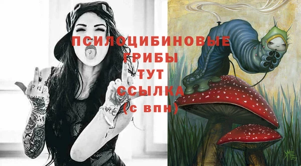 прущий лед Арсеньев