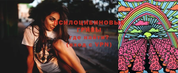 прущий лед Арсеньев
