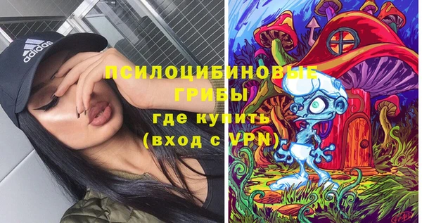 гидра Армянск