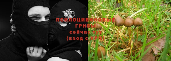 гидра Армянск