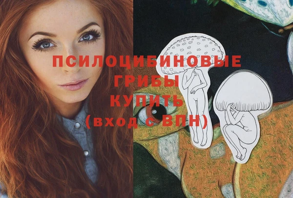 спайс Аркадак