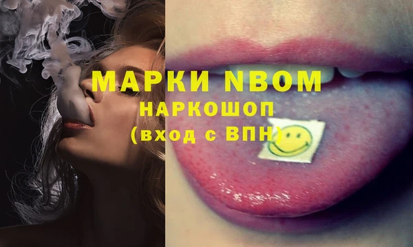 прущий лед Арсеньев