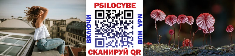 Галлюциногенные грибы Psilocybe мега рабочий сайт Менделеевск наркота
